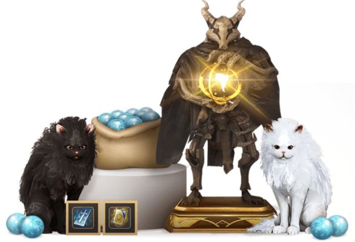 black-desert-online-recompensas.jpg