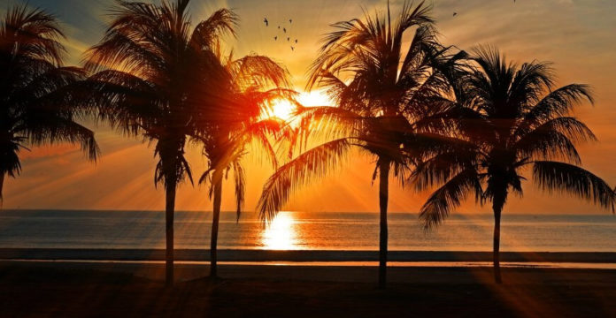 Proposta dá preferência para pessoas com deficiência entrarem em férias