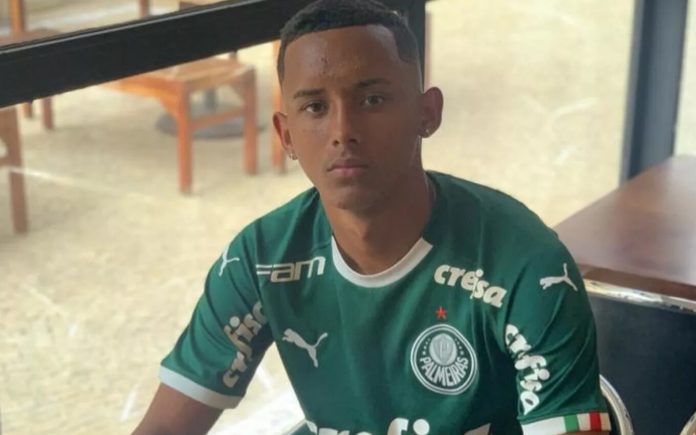 Michel do Palmeiras