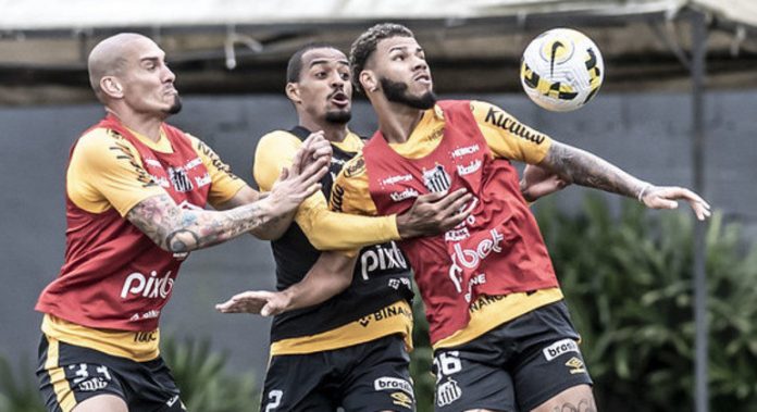 treino-do-santos-22092022125801057.jpeg Elenco segue com treinamentos para desafios da sequência do Campeonato Brasileiro