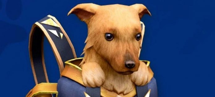 Free Fire está mais brasileiro do que nunca com esses novos itens