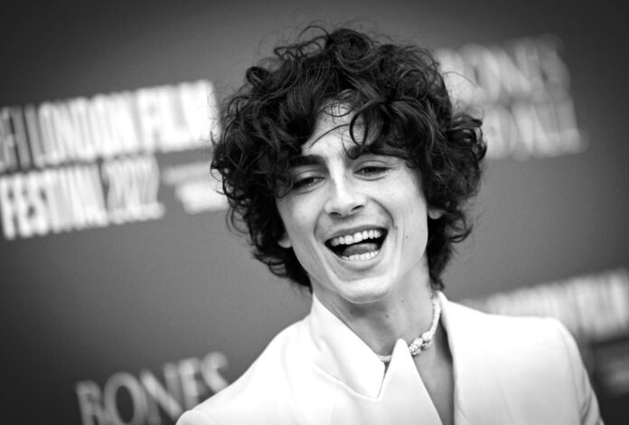 Timothée Chalamet se prepara há dois anos para viver Bob Dylan