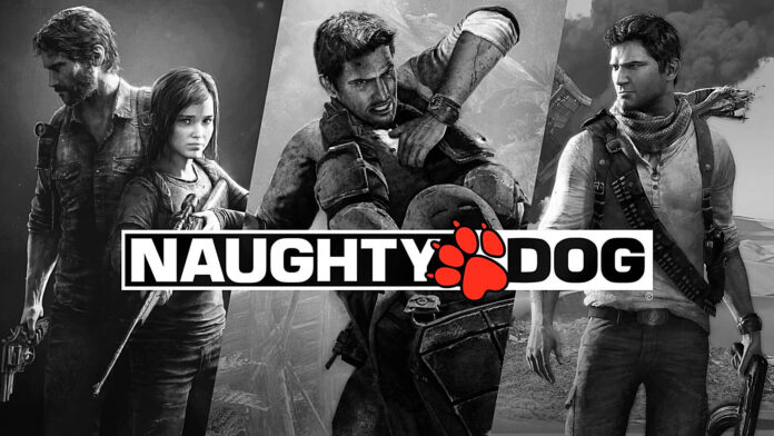 naughty-dog.jpg