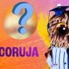 4293776-tv-globoquem-e-a-coruja-do-the-masked-s-100x100-3.jpg