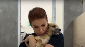ana-hickmann-16022023214630588.jpeg