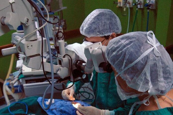 Cerca de 6 mil mineiros aguardam em fila de espera para transplante