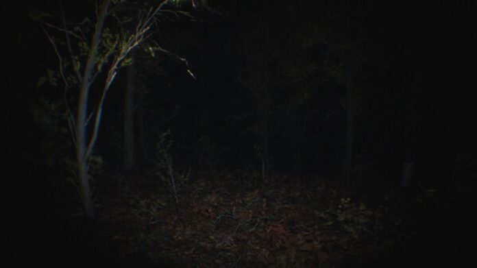 24163205172309.jpg Jogo de terror com gráficos realistas da Digital Cybercherries foi desenvolvido com Unreal Engine 5. (Digital Cybercherries/Reprodução)