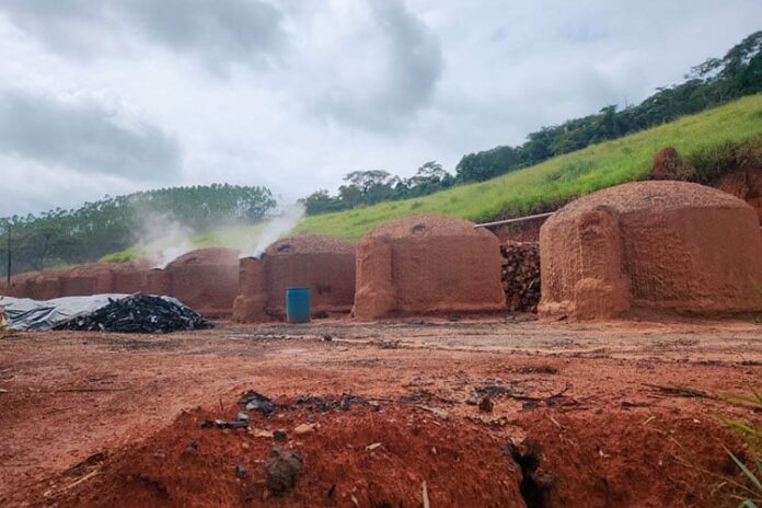 Prefeitura suspende atividades de carvoaria em Monte Verde