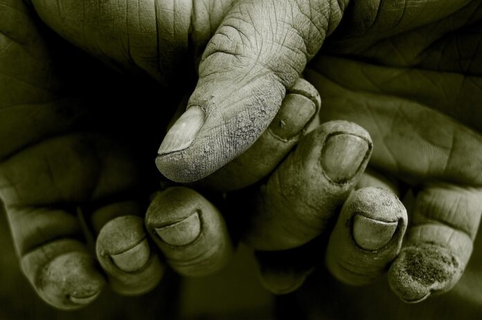 hands-g87a7df088-1920.jpg