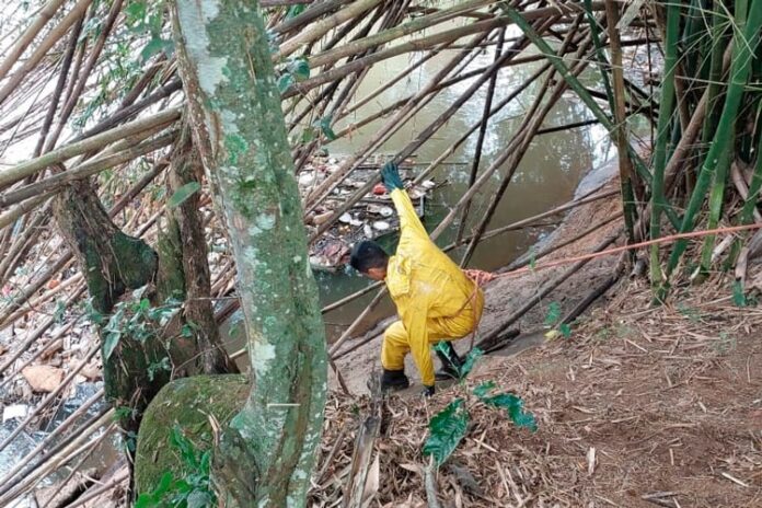 Jovem tenta escapar por bambuzal e acaba preso com moto roubada