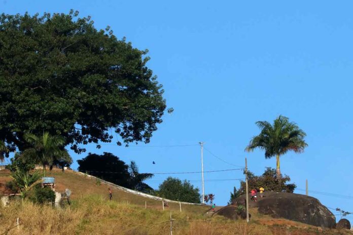 TEMPO FElipe Couri 8