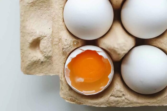 Alergia a ovo é a segunda maior dentre as alimentares