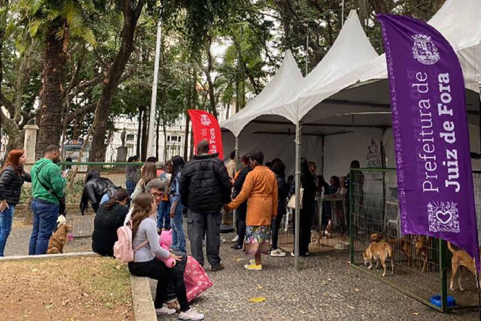 Canil Municipal promove adoção de pets e vacinação antirrábica neste sábado