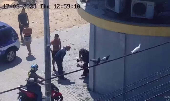 Bebê recém-nascida é salva de engasgo com ajuda de guardas municipais