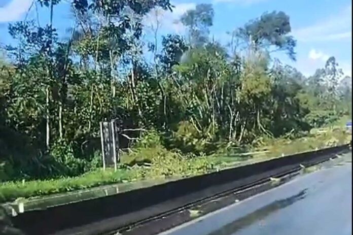 BR-040 é interditada parcialmente em JF