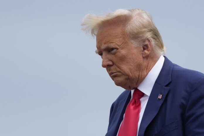 trumpp.jpeg