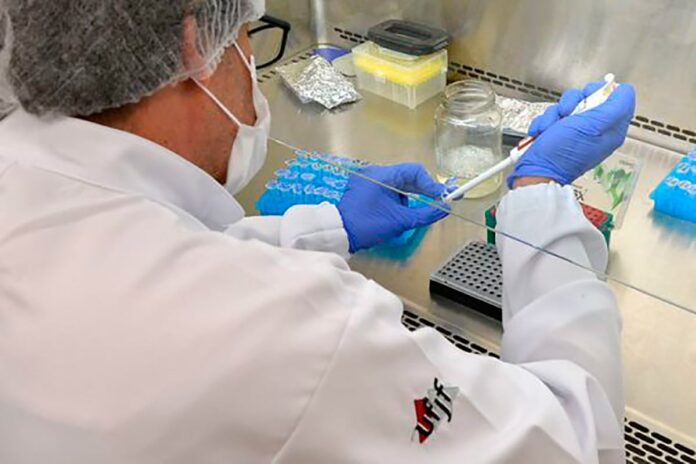 Laboratórios da UFJF realizam testes de dengue para cidades mineiras