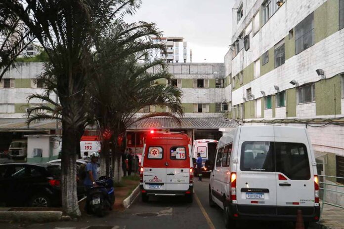 Criança de 5 anos atacada por pitbull tem alta de hospital