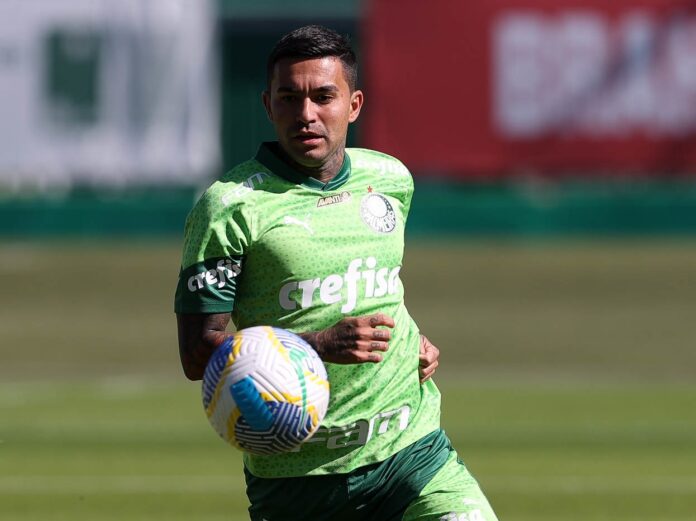 Dudu manifesta desejo de permanecer no Palmeiras, e ida ao Cruzeiro pode melar