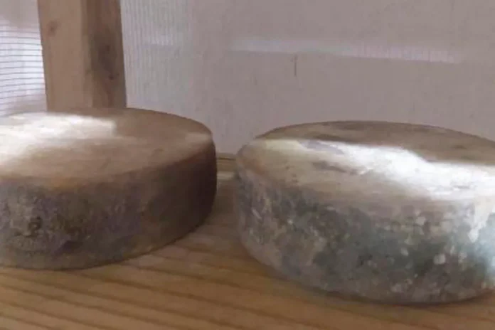 Distrito de Juiz de Fora é incluído na região produtora de queijo minas artesanal das Serras da Ibitipoca