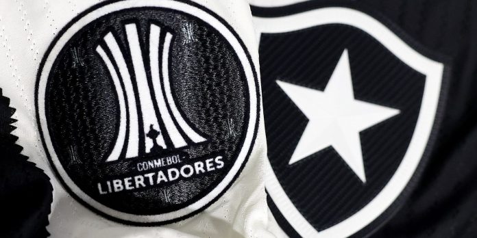 Botafogo irá banir torcedor que cometeu racismo contra Palmeiras Botafogo irá banir torcedor que cometeu racismo contra Palmeiras