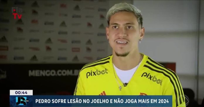Pedro sofre lesão grave em treino da seleção brasileira e só volta a jogar em 2025 – Noticias R7