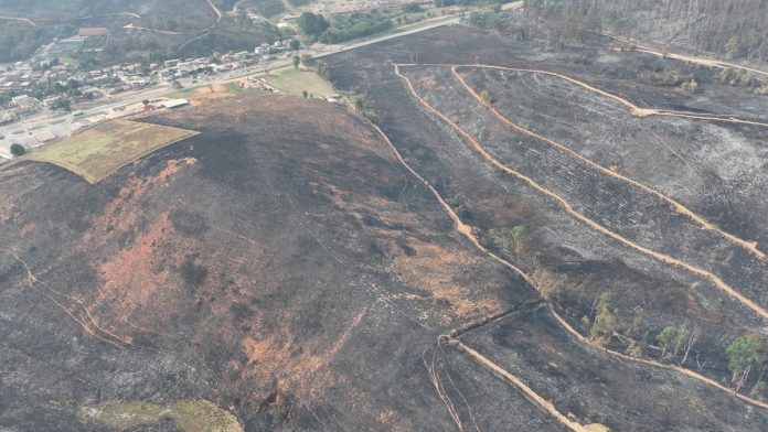 Queimadas já deixaram mais de 200 mil consumidores de Juiz de Fora e região sem energia elétrica neste ano, aponta Cemig