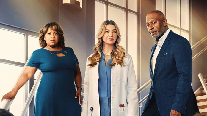 Roteirista de "Grey's Anatomy" dá pista do que acontecerá com Meredith