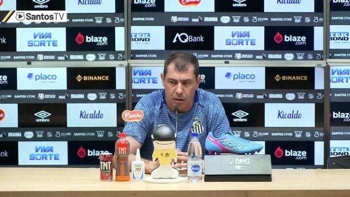 Após jogo contra Goiás, Carille analisa campanha do Santos na Série B