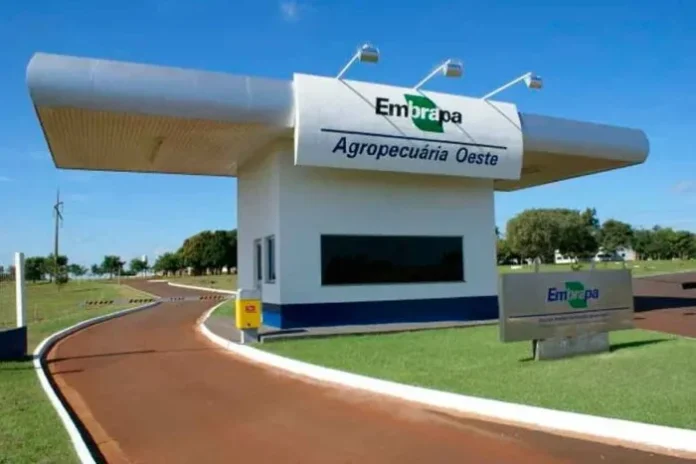 Embrapa abre concurso com mais de mil vagas e salÃ¡rios de atÃ© R$ 12,8 mil