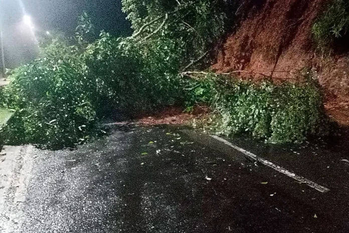 Trânsito na Avenida Mello Reis é completamente liberado