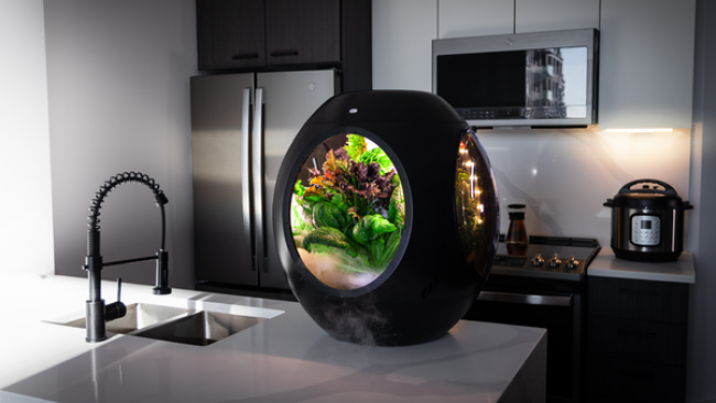 plantaformu2019ssmartindoor_4441243_650x.png O Smart Indoor Garden da Plantaform usa neblina para cultivar plantas