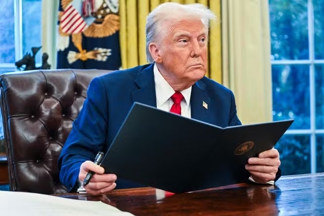4467753b.jpg