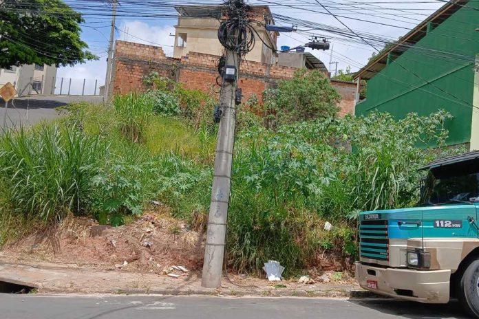 Morador denuncia mato alto e buraco em rua do Parque parque independencia vu