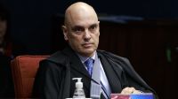 Moraes pede vista em julgamento sobre viagem de pets na cabine de aviões