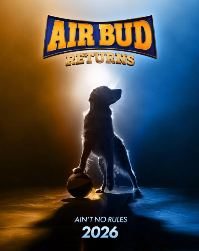 4615203_650x.png Air Bud está de volta - novos filmes estreiam no próximo ano