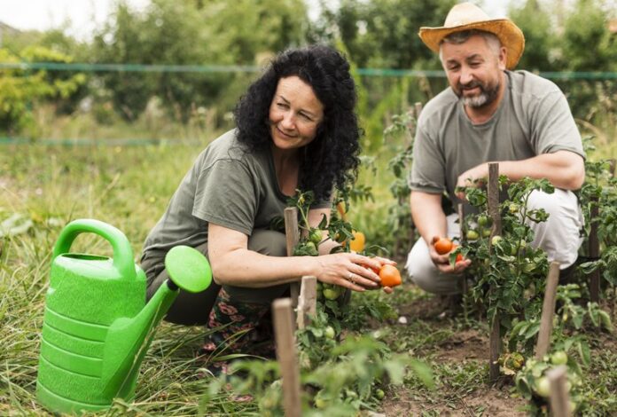 Chamada Pública para aquisição de gêneros alimentícios da Agricultura Familiar