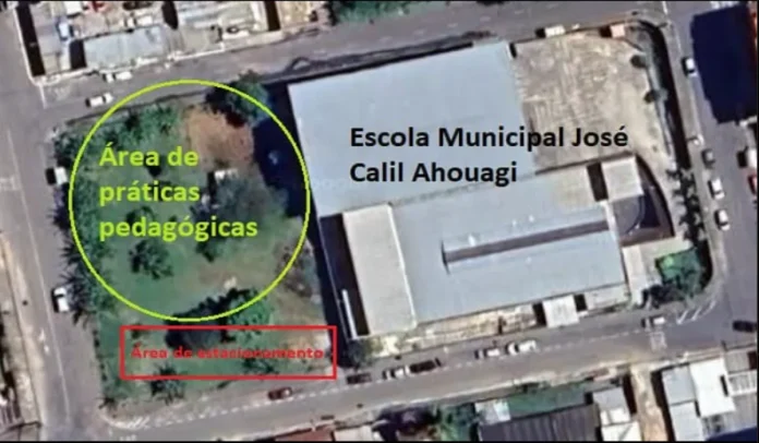 Corte de árvore em escola gera protesto e PJF promete Imagem aérea do terreno da Escola Municipal José Calil Ahouagi, em Juiz de Fora