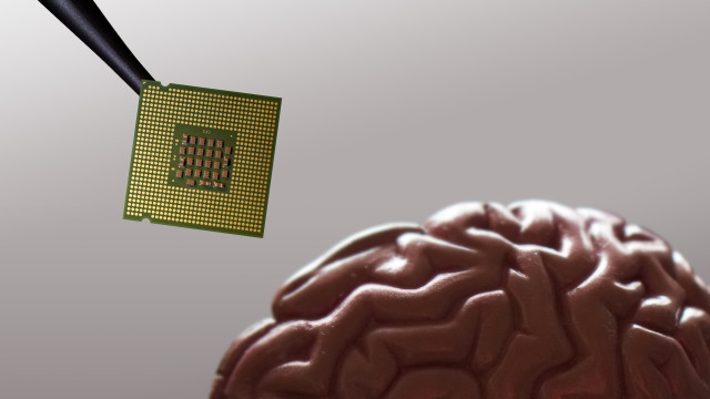 naom_695808d52dac1.jpg Musk quer acelerar procedimento para colocar 'chips' em cérebros humanos