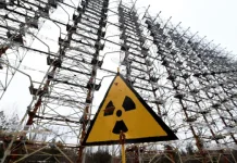 Radiação mudou cães de Chernobyl? Como ciência explica alterações genéticas