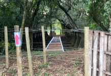 Venda de ponte de Prados por R$ 700 mil pode ter ocorrido por engano; entenda o caso Venda de ponte de Prados por R$ 700 mil pode ter ocorrido por engano; entenda o caso