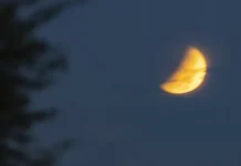 Assistiu ao eclipse lunar? Veja as imagens do último de 2026