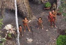 Podcast Fala Vencedor: Povos isolados da Amazônia, O Último Refúgio da Humanidade!