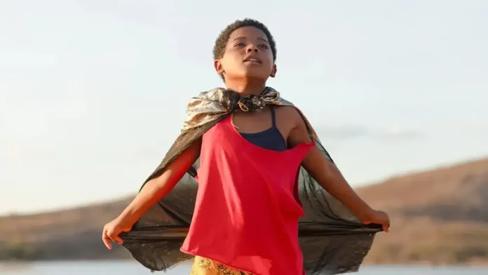 Feito Pipa Ã© escolhido para representar o Brasil na disputa por vaga no Oscar 2027