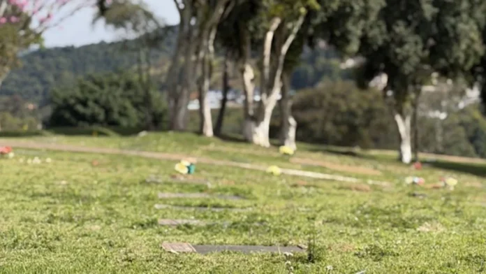 parque da saudade 50 anos juiz de fora